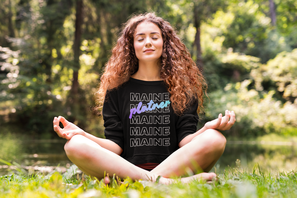 The Platner Crewneck — Progressive Democrat Sweatshirt