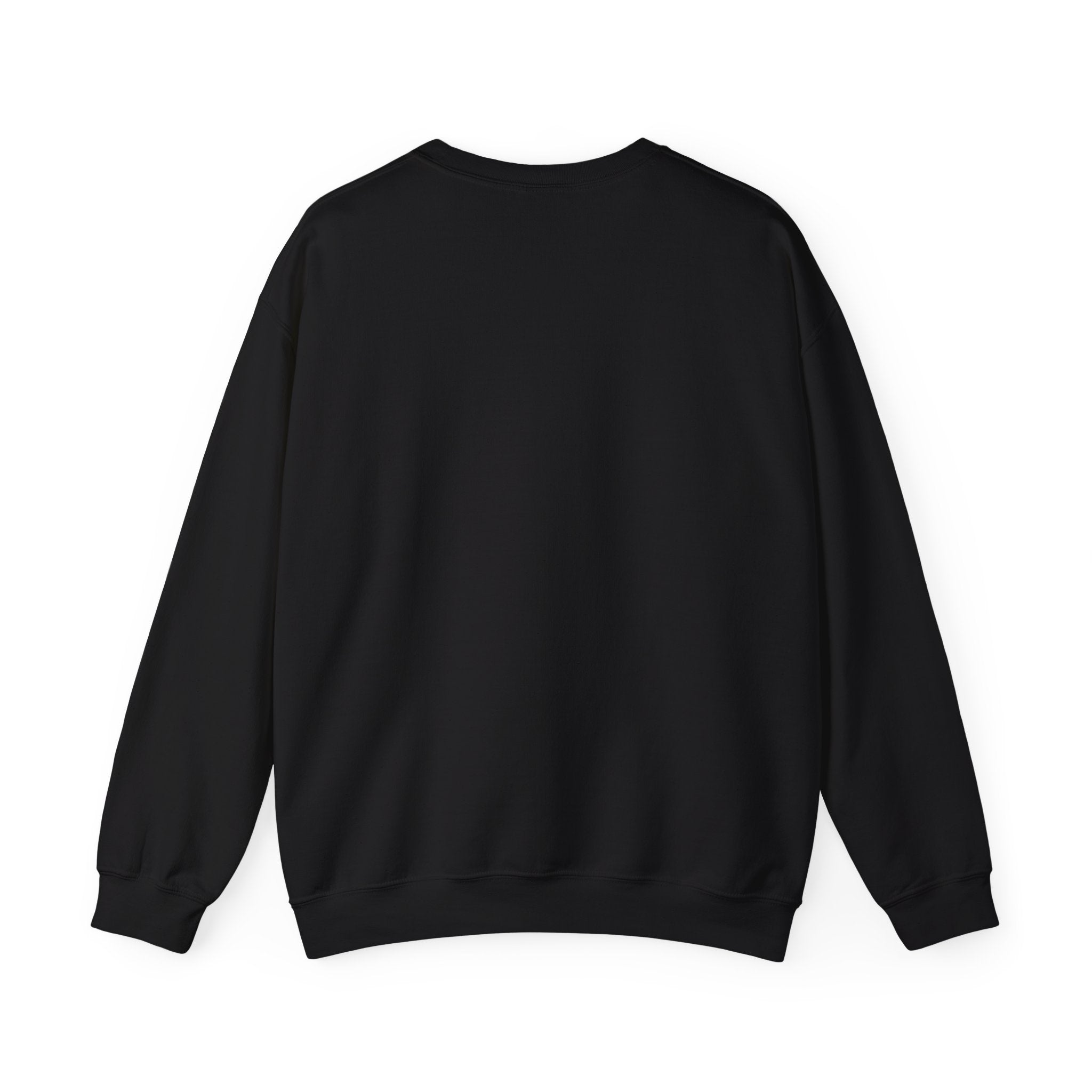 The Platner Crewneck — Progressive Democrat Sweatshirt